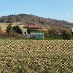 Pod Brzozami