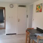 Dom wakacyjny Pod Brzozami *