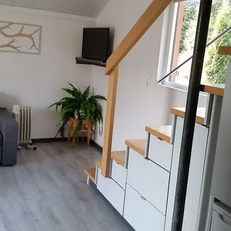 Dom wakacyjny Pod Brzozami *