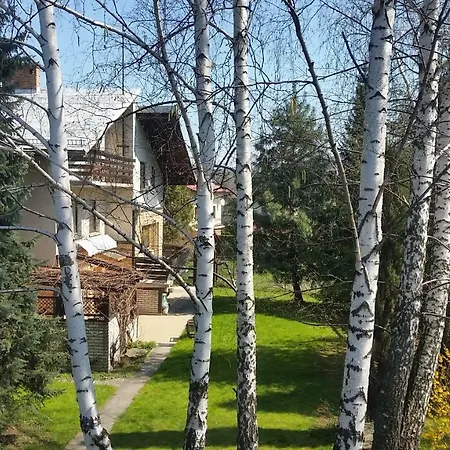 Pod Brzozami Świnna