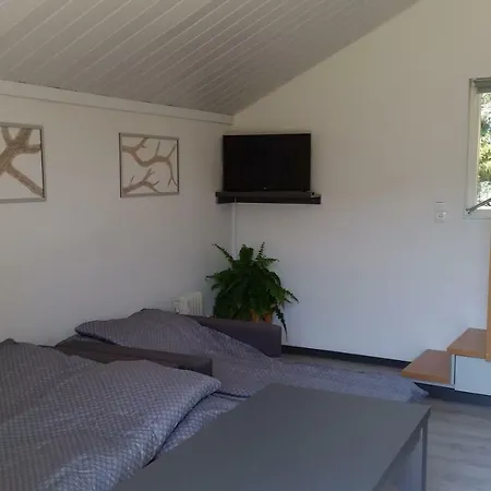 Dom wakacyjny Pod Brzozami *