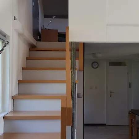 Pod Brzozami Świnna