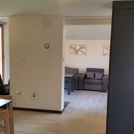 Ferienhaus Pod Brzozami Świnna