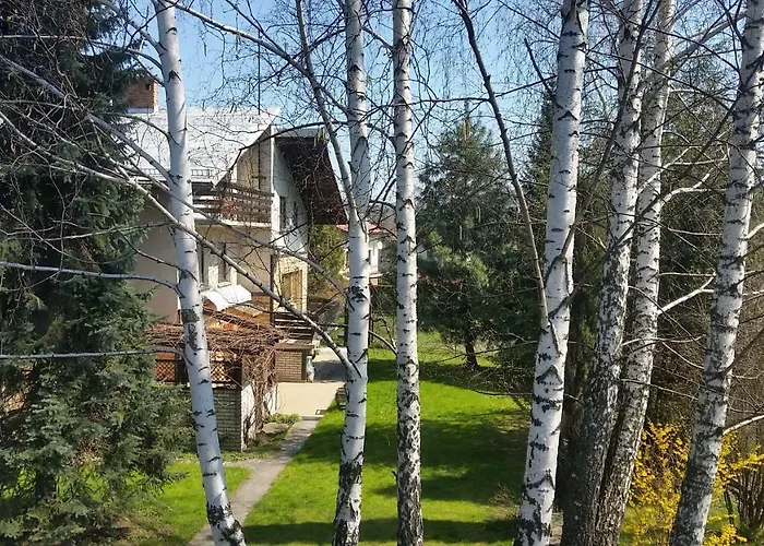 Pod Brzozami Świnna