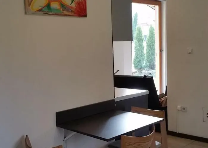 Tatil Evi Pod Brzozami *