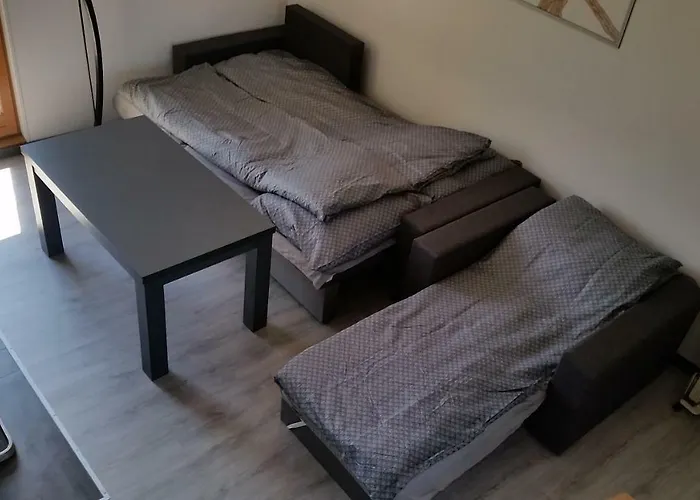 Tatil Evi Pod Brzozami *