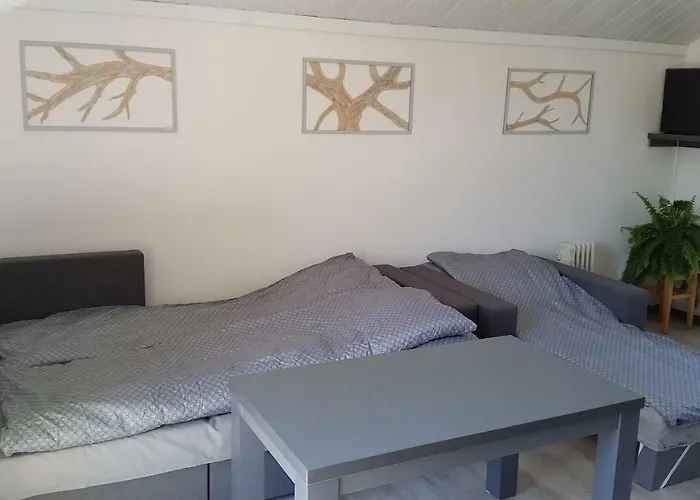 Tatil Evi Pod Brzozami *