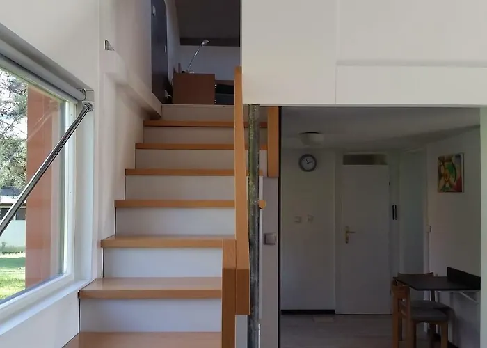 Pod Brzozami Świnna