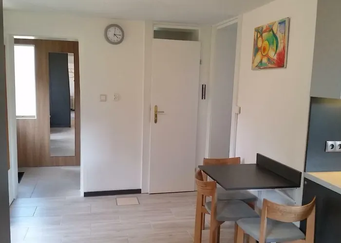 Tatil Evi Pod Brzozami *