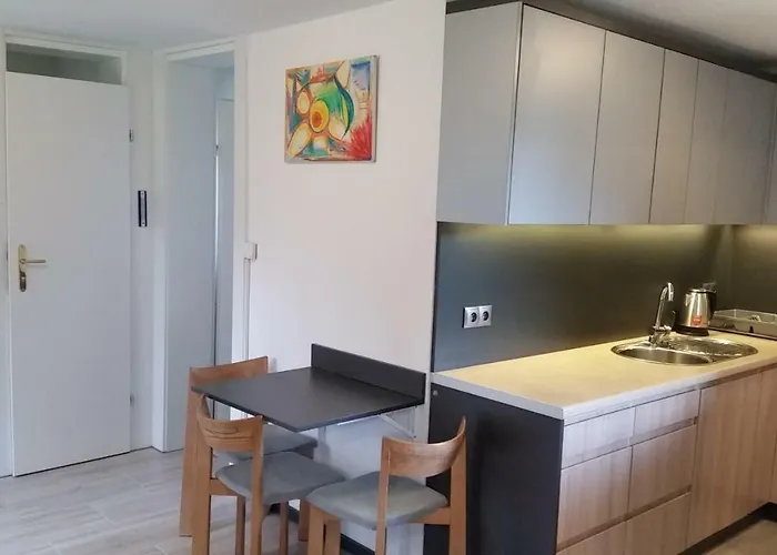 Pod Brzozami * Świnna