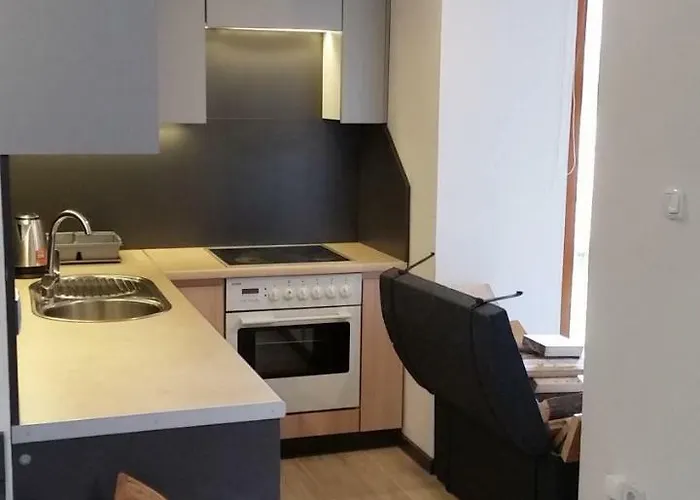 Tatil Evi Pod Brzozami Świnna